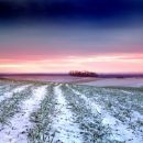 Sunrise over field of snow